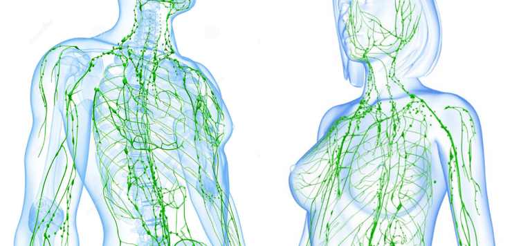 The Importance of Lymphatic Drainage in Cosmetic Surgery
